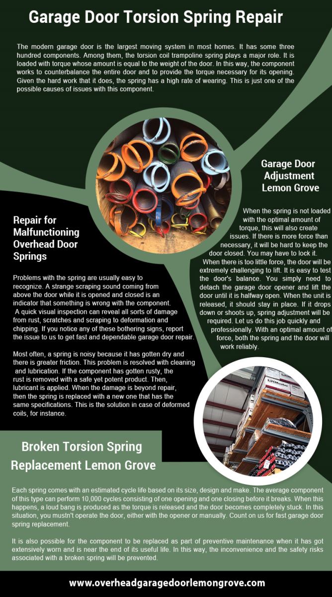 Garage Door Repair Lemon Grove Infographic